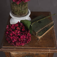 Autumn Ruby Hydrangea (5 stem)
