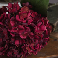 Autumn Ruby Hydrangea (5 stem)