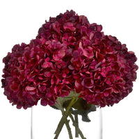 Autumn Ruby Hydrangea (5 stem)