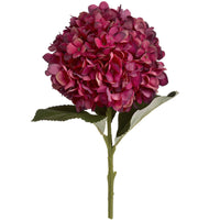 Autumn Ruby Hydrangea (5 stem)