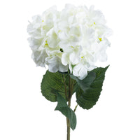 White Hydrangea (5 stem)