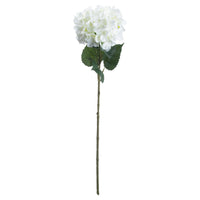 White Hydrangea (5 stem)