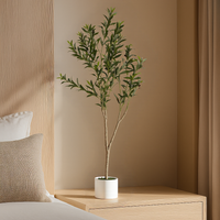 Apulia Olive Tree In White Pot 150Cm