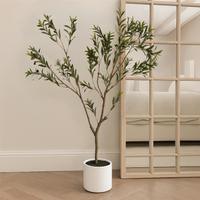 Apulia Olive Tree In White Pot 180Cm
