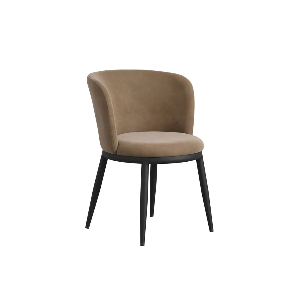 Nova Mole Dining Chair (set of 2)