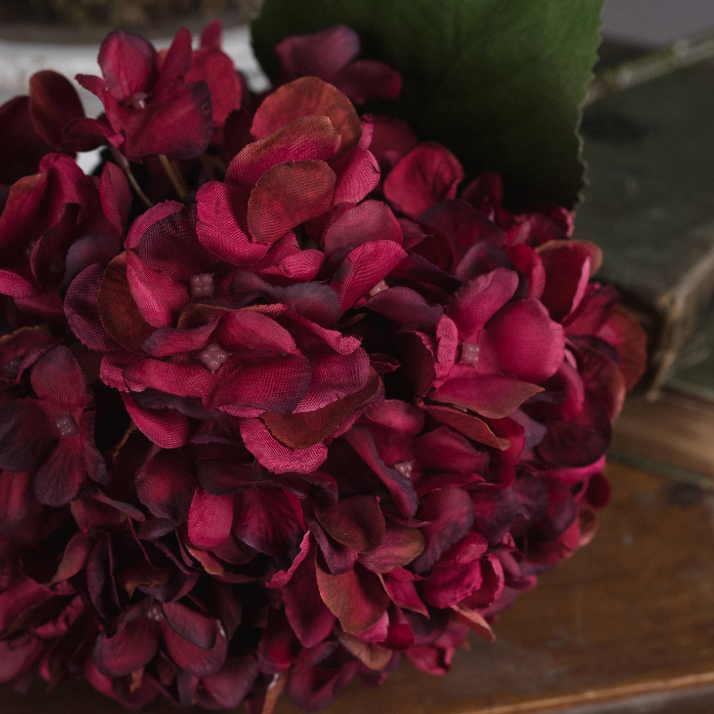 Autumn Ruby Hydrangea (5 stem)