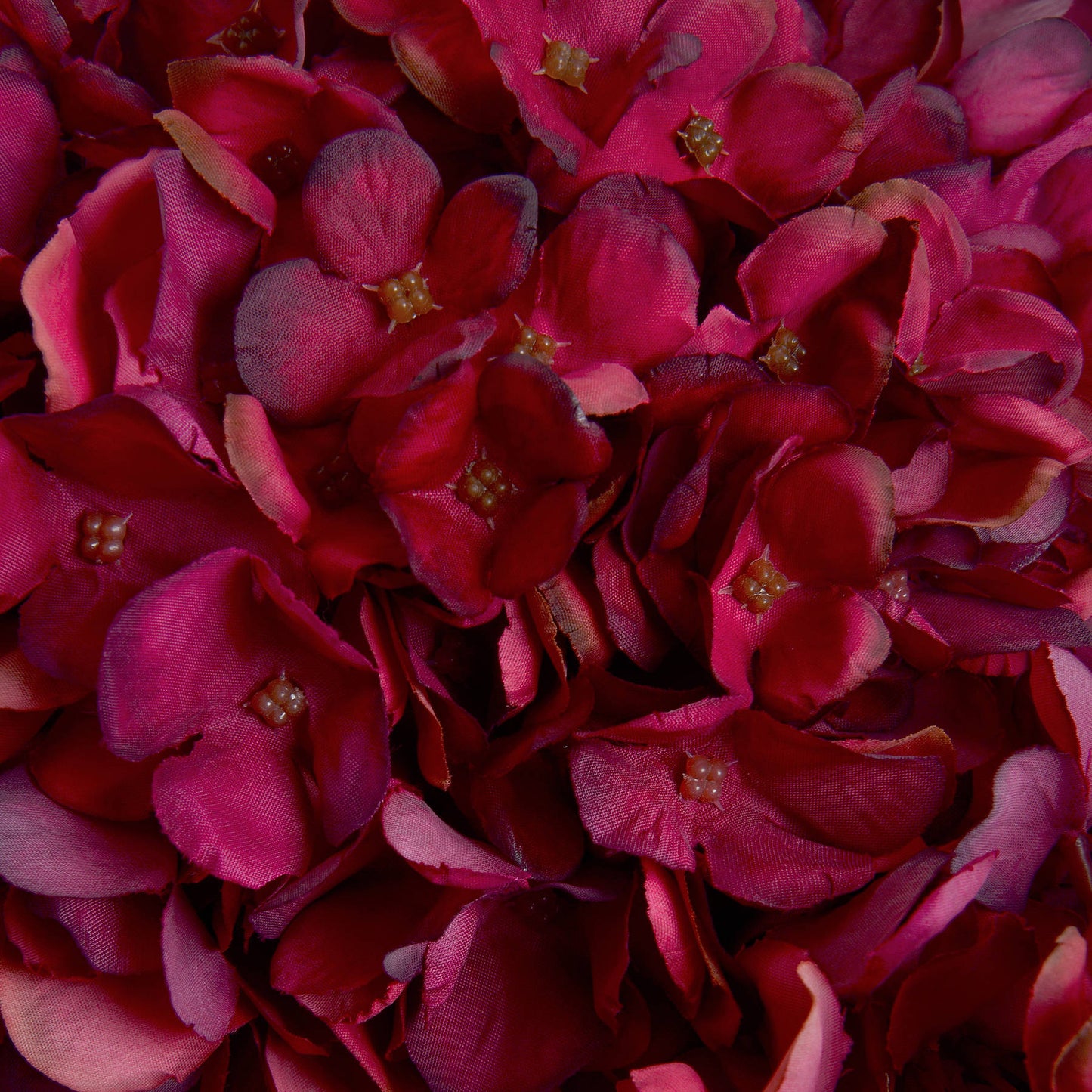 Autumn Ruby Hydrangea (5 stem)