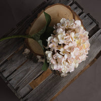 Autumn White Hydrangea (5 stems )