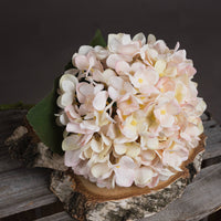 Autumn White Hydrangea (5 stems )