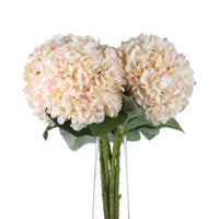 Autumn White Hydrangea (5 stems )
