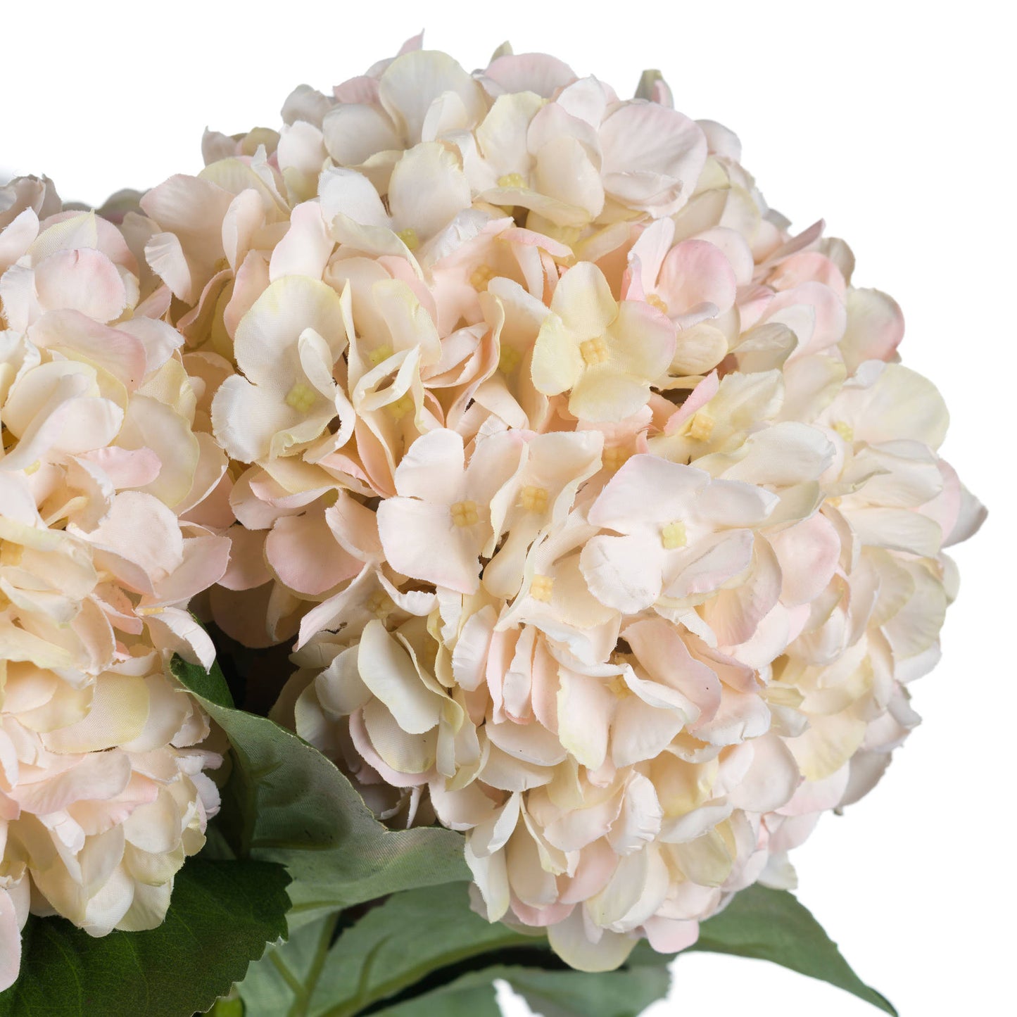 Autumn White Hydrangea (5 stems )