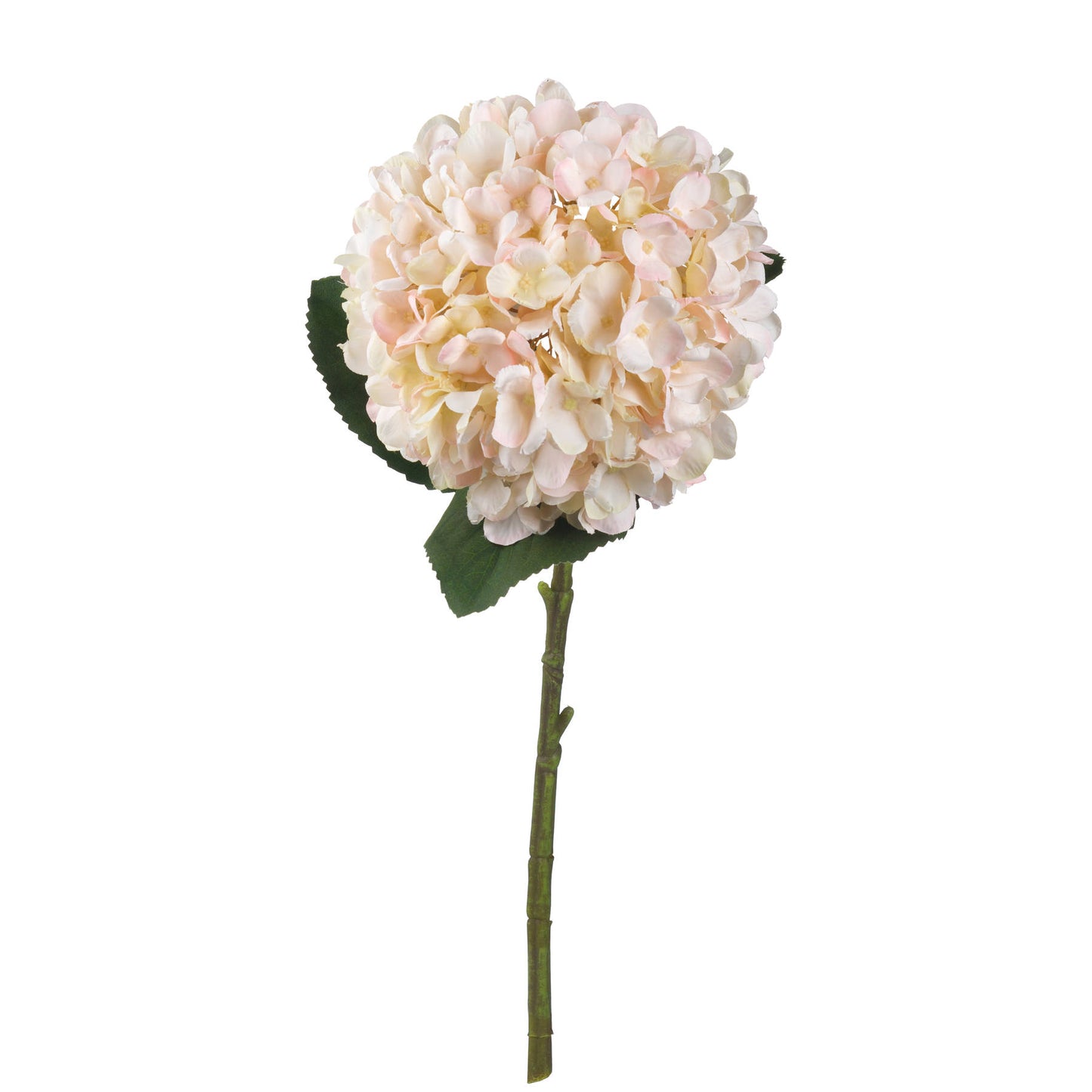 Autumn White Hydrangea (5 stems )