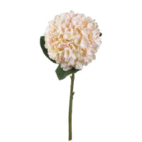 Autumn White Hydrangea (5 stems )
