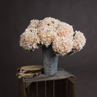 Autumn White Hydrangea (5 stems )
