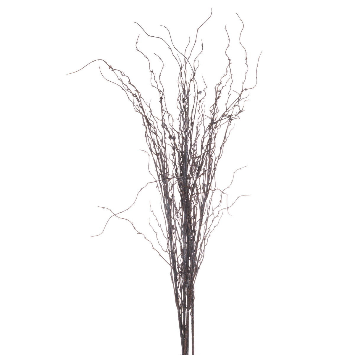 Branch Spray (5 stems)