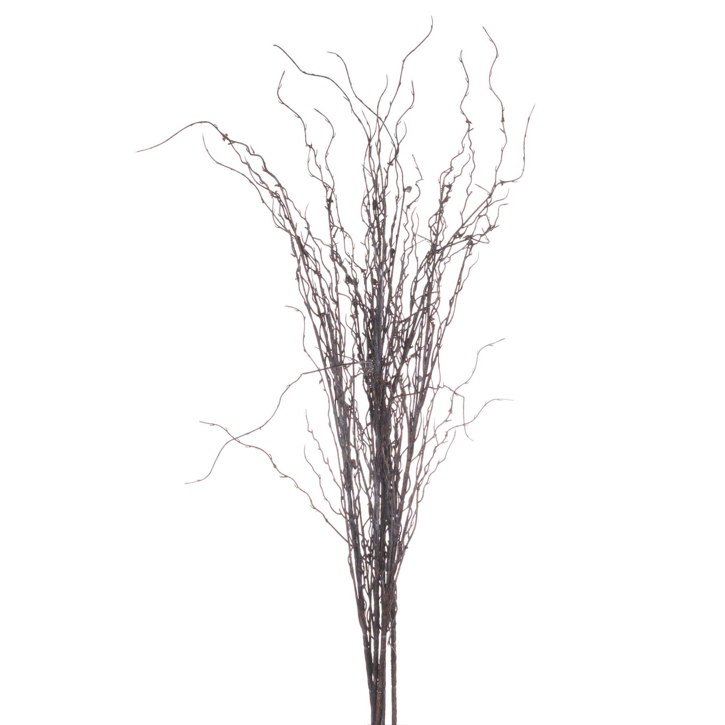 Branch Spray (5 stems)