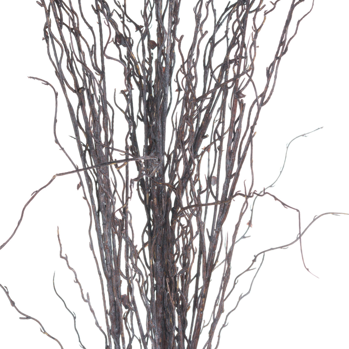 Branch Spray (5 stems)