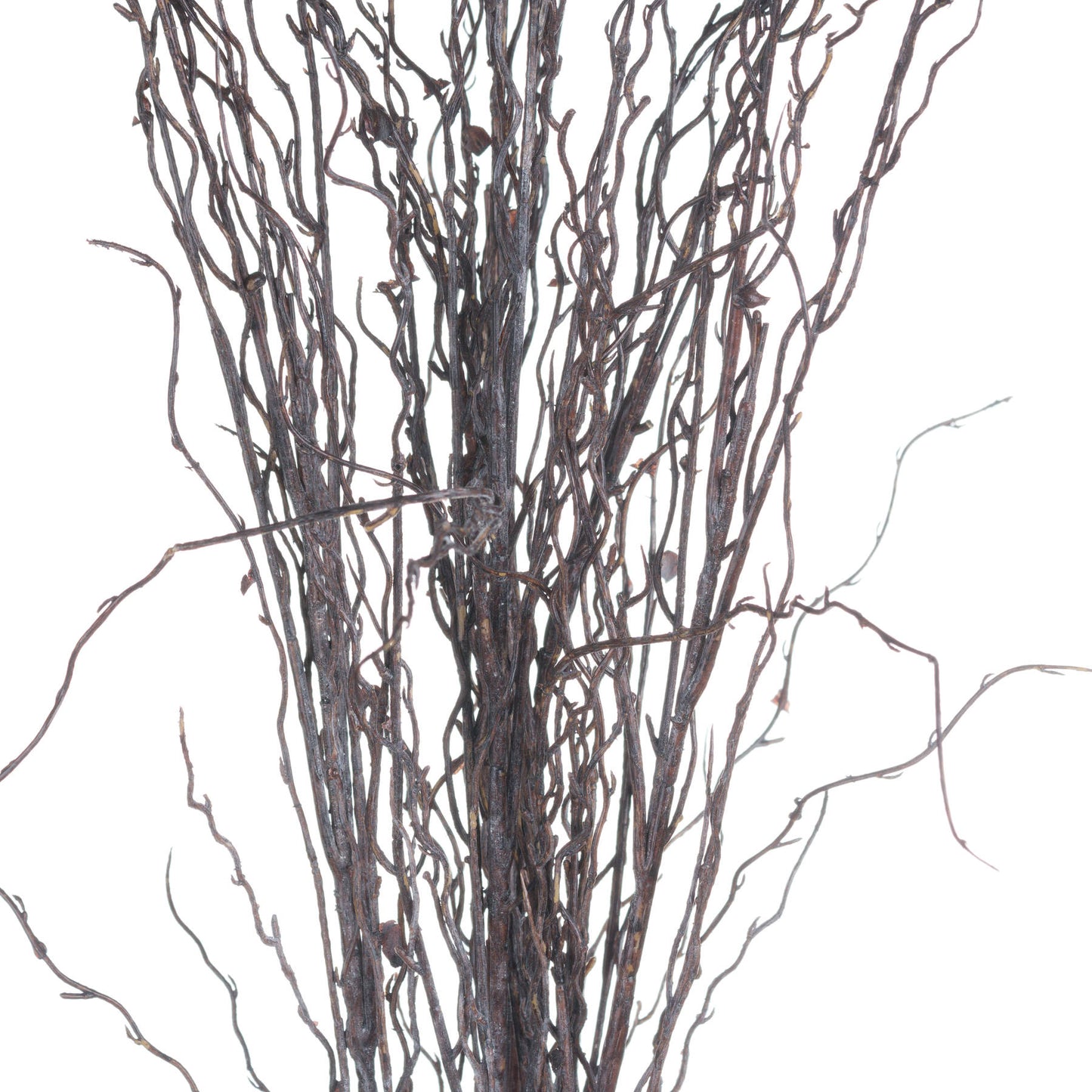 Branch Spray (5 stems)