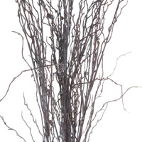 Branch Spray (5 stems)