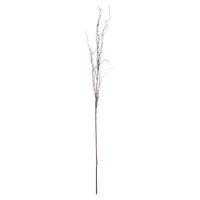 Branch Spray (5 stems)