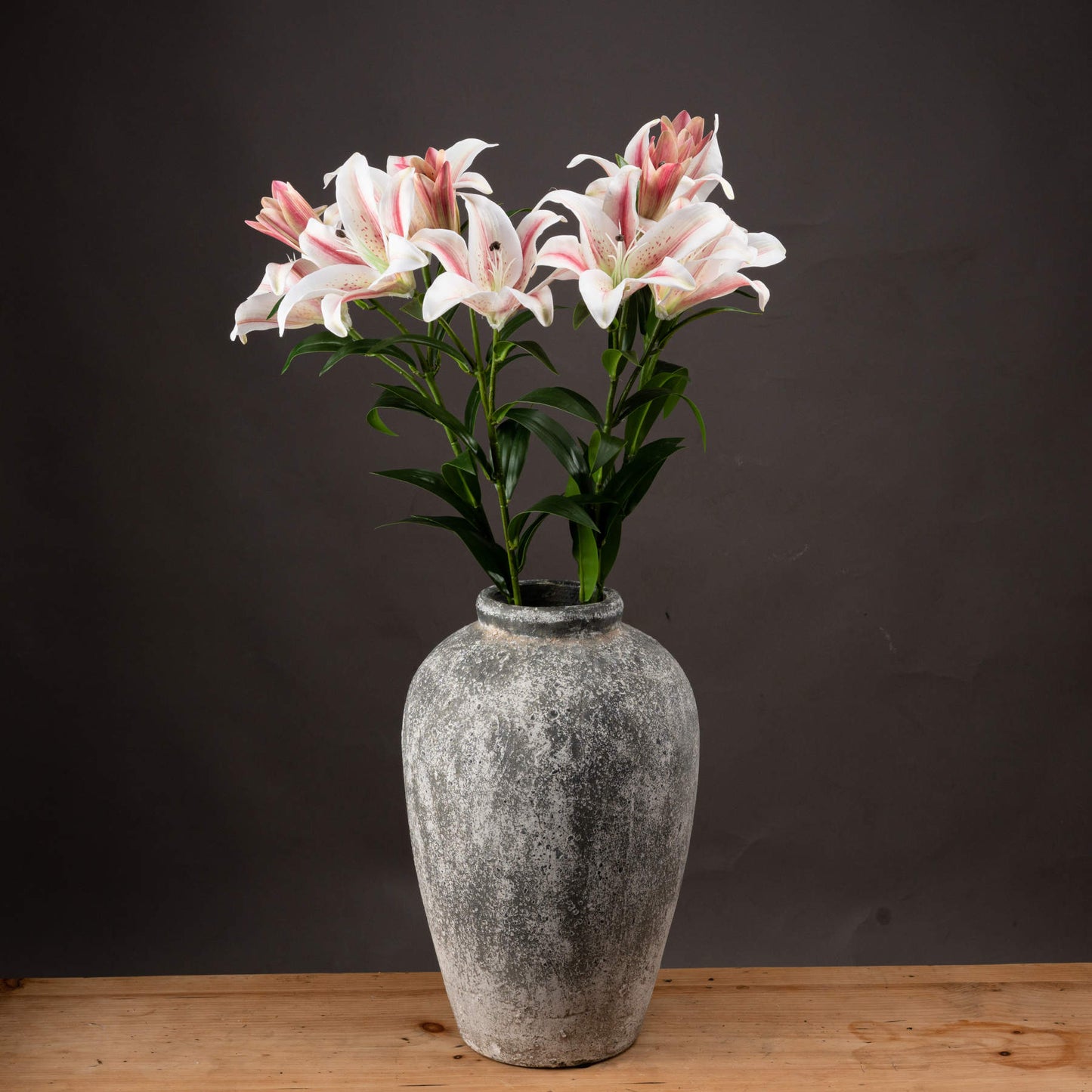 Stargazer Lily (5 stem)