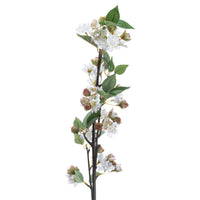 English Blossom Branch (5 stem)