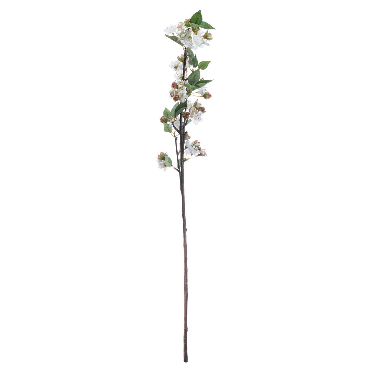 English Blossom Branch (5 stem)