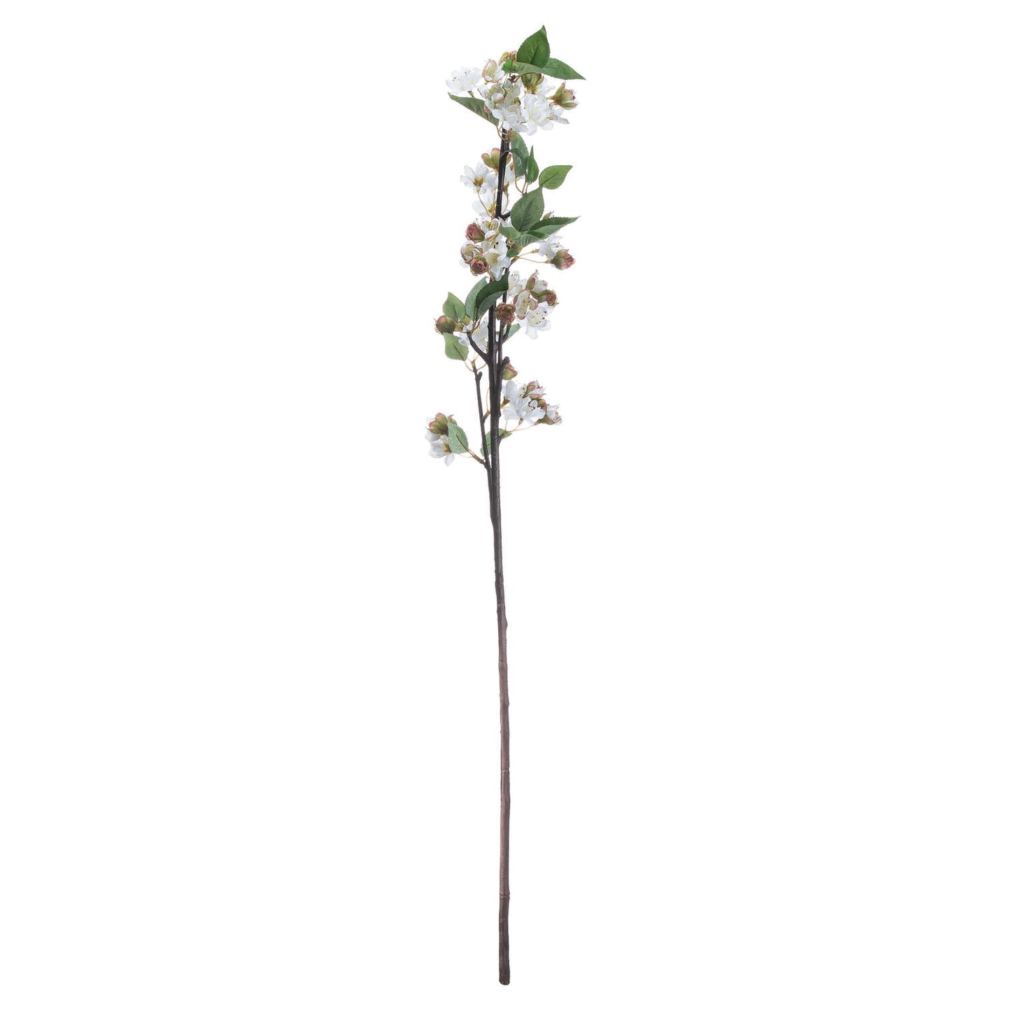 English Blossom Branch (5 stem)