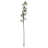 English Blossom Branch (5 stem)
