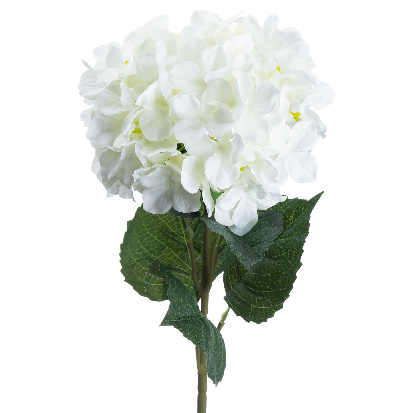 White Hydrangea (5 stem)