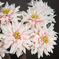Lush Pink Dahlia (5 stem)