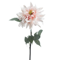 Lush Pink Dahlia (5 stem)