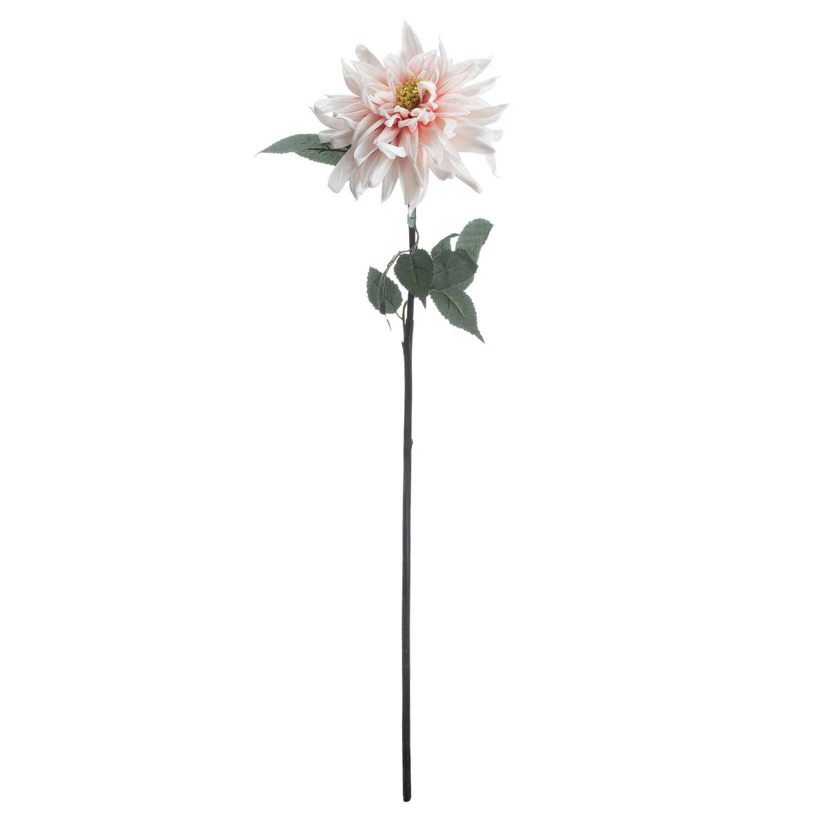 Lush Pink Dahlia (5 stem)