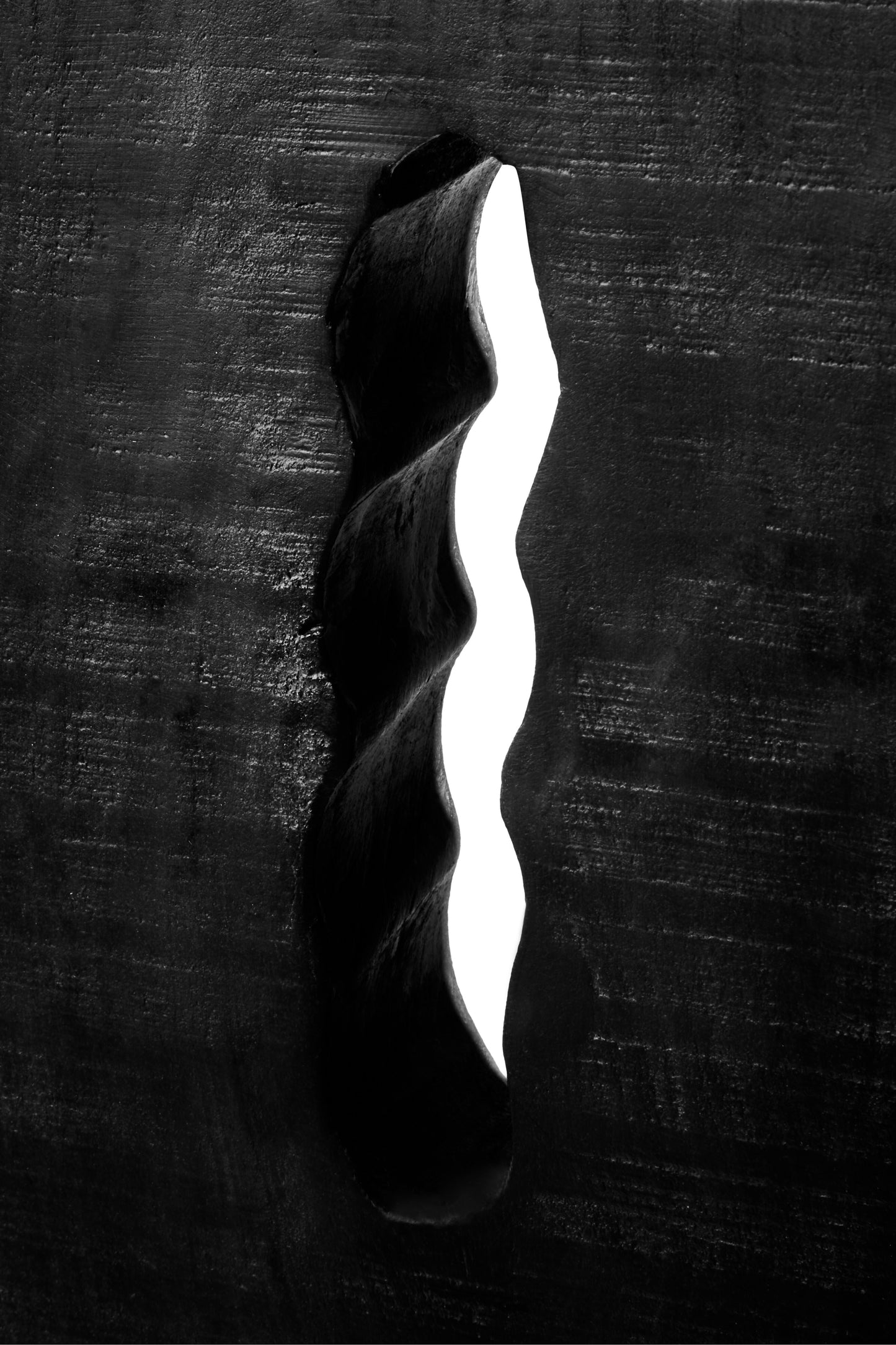Fidel Rustic Black Vertical Mango Wood Slice Sculpture