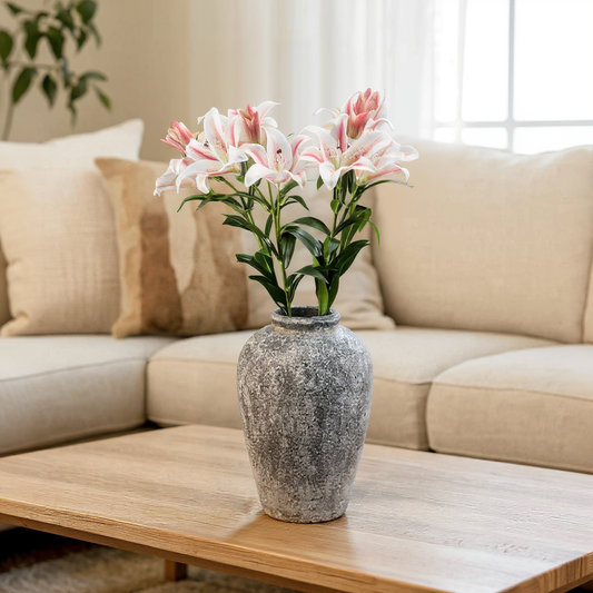 Stargazer Lily (5 stem)