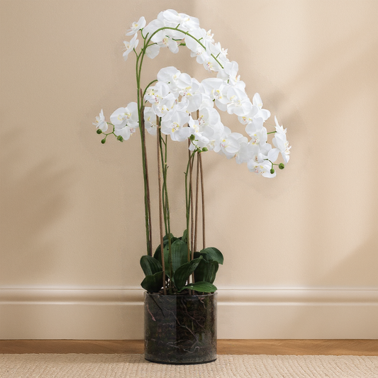 Large White Tall Orchid In Glass Pot