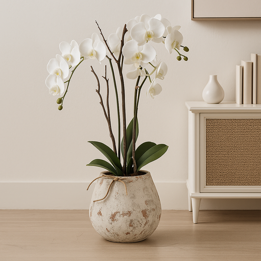 White Orchid In Stone Pot