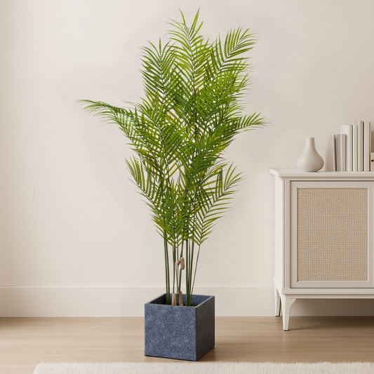 Large Paradise Potted Palm
